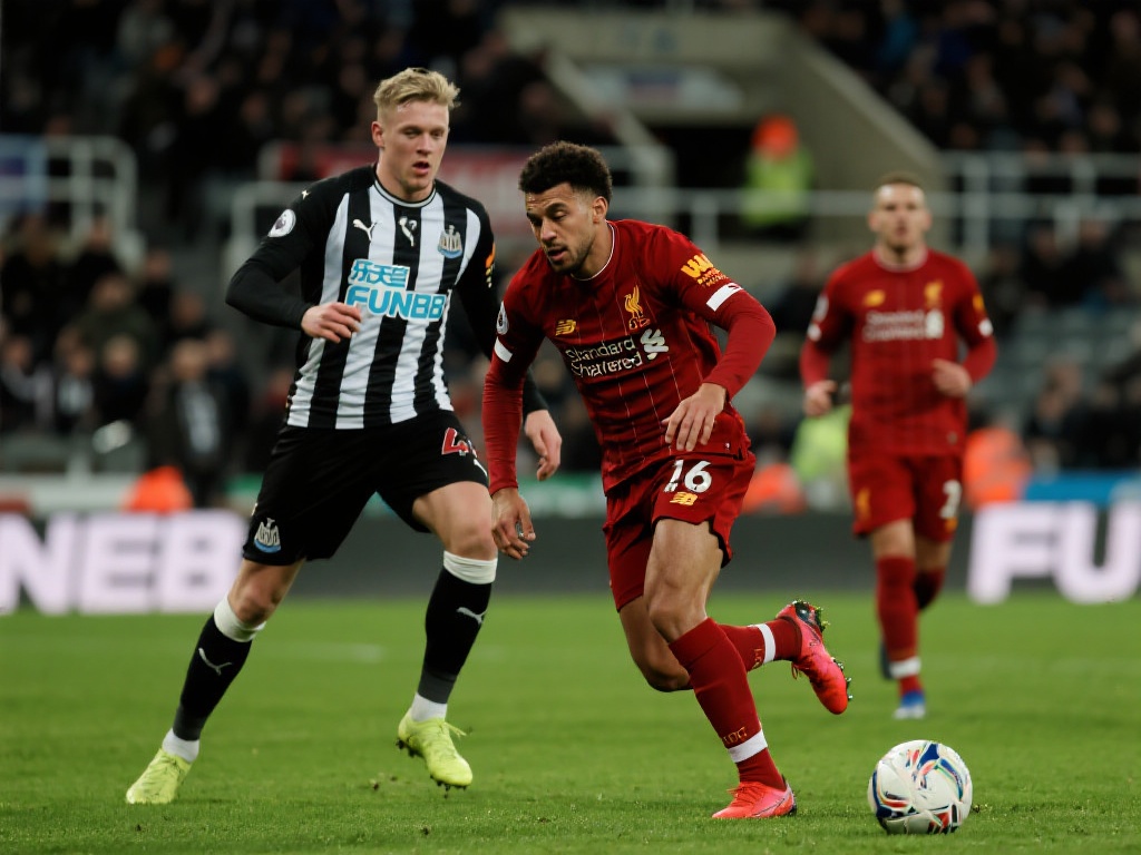 学会如何将 学会如何将